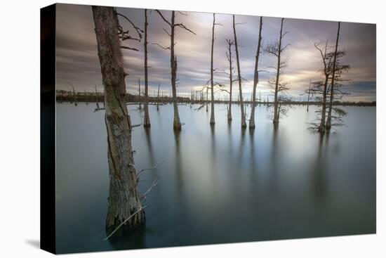 Monroe, LA: Black Bayou Lake, Part Of The National Wildlife Refuge & Fish & Wildlife Service-Ian Shive-Premier Image Canvas