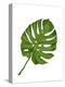 Monstera Leaf 1, Green on White-Fab Funky-Stretched Canvas