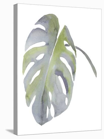 Monstera-Sandra Jacobs-Stretched Canvas