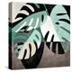 Monstera-Gabriela Avila-Stretched Canvas