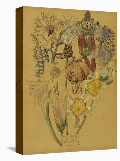 Mont Louis - Flower Study, 1925-Charles Rennie Mackintosh-Premier Image Canvas