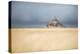 Mont Saint Michel under grey sky-Philippe Manguin-Premier Image Canvas