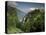 Mont Saxonnex, Near Bonneville, Haute Savoie, Rhone Alpes, France-Michael Busselle-Premier Image Canvas