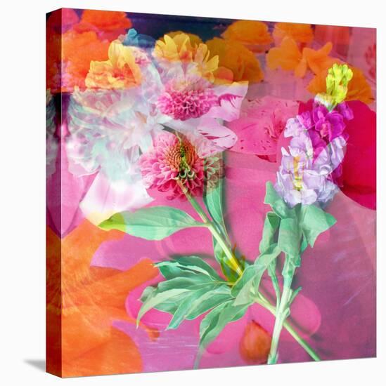 Montage of Flower Photographies-Alaya Gadeh-Premier Image Canvas