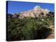 Montagne Ste. Victoire, Bouches Du Rhone, Provence, France-Bruno Morandi-Premier Image Canvas