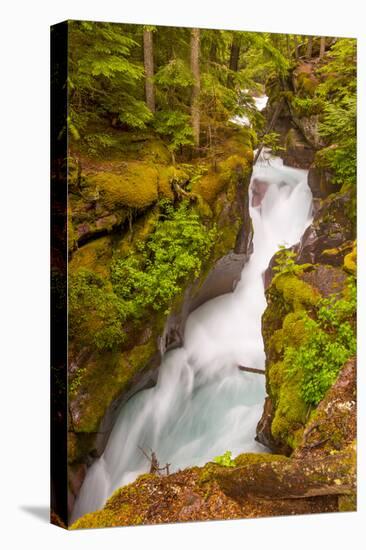 Montana, Glacier National Park. Waterfall Landscape-Jaynes Gallery-Premier Image Canvas
