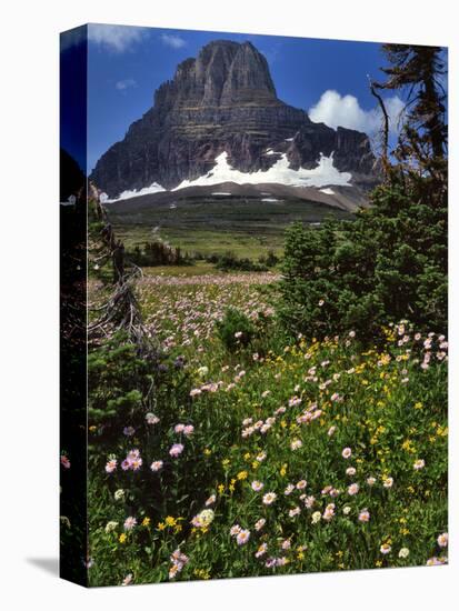 Montana, Glacier NP. Clements Mountain and Field of Arnica and Asters-Steve Terrill-Premier Image Canvas