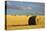 Montana Hay Bales-Jason Savage-Stretched Canvas