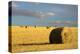 Montana Hay Bales-Jason Savage-Stretched Canvas