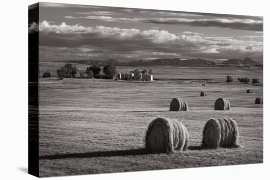 Montana Hay Bales-Alan Majchrowicz-Premier Image Canvas