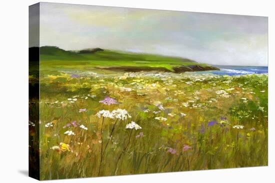 Montara Bluffs-Sheila Finch-Stretched Canvas