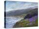 Montara-Sheila Finch-Stretched Canvas