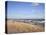 Montauk Point State Park, Montauk, Long Island, New York, United States of America, North America-Wendy Connett-Premier Image Canvas