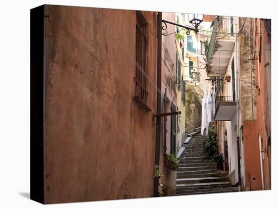 Monterosso, Cinque Terre, Liguria, Italy, Europe-null-Premier Image Canvas