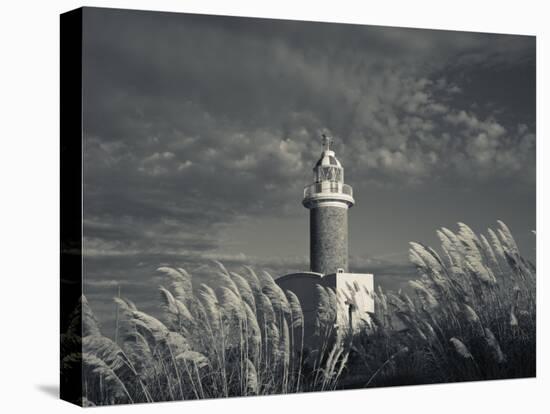 Montevideo, Punta Brava Lighthouse, Morning, Uruguay-Walter Bibikow-Premier Image Canvas
