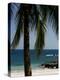 Montezuma Beach, Nicoya Peninsula, Costa Rica, Central America-Levy Yadid-Premier Image Canvas