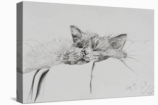 Monty, Sleepy Boy-Vincent Alexander Booth-Premier Image Canvas