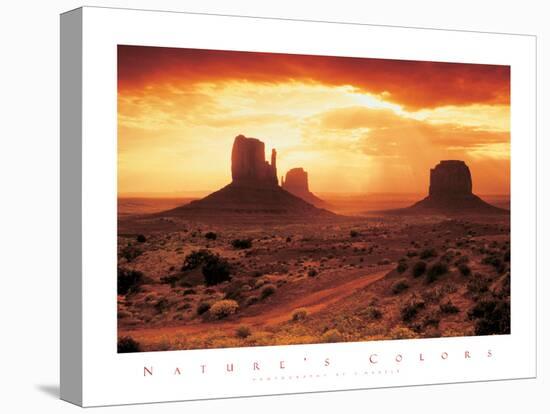 Monument Valley-unknown unknown-Stretched Canvas