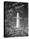 Monument with Cherry Blossom in Foreground, Washington DC, USA-Scott T. Smith-Premier Image Canvas