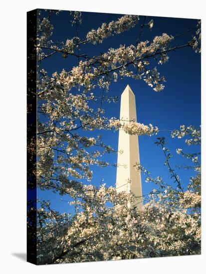 Monument with Cherry Blossom in Foreground, Washington DC, USA-Scott T. Smith-Premier Image Canvas