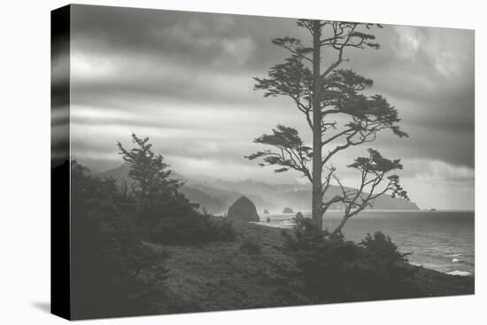 Moody Cannon Beach, Black and White, Oregon Coast-Vincent James-Premier Image Canvas