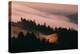 Moody Hills and Fog Flow, Mount Tamalpais, California-Vincent James-Premier Image Canvas