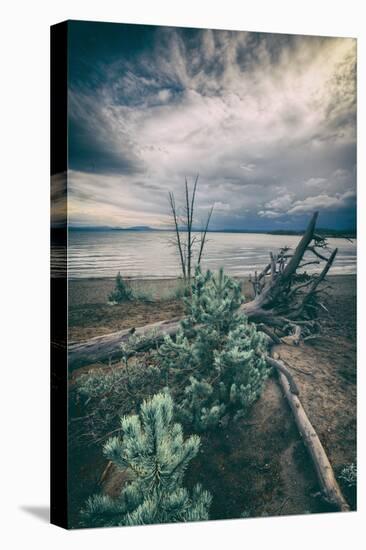 Moody Lakeside Storm, Yellowstone-Vincent James-Premier Image Canvas