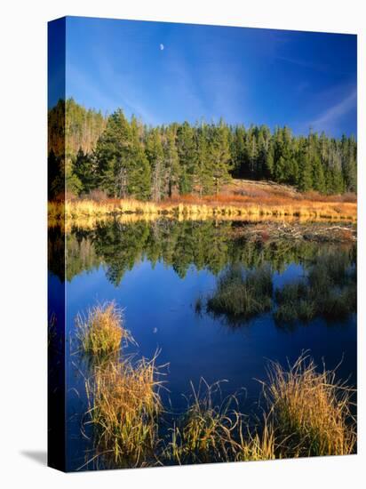 Moon above Beaver Pond, Uinta Mountains, Wasatch National Forest, Utah, USA-Scott T. Smith-Premier Image Canvas