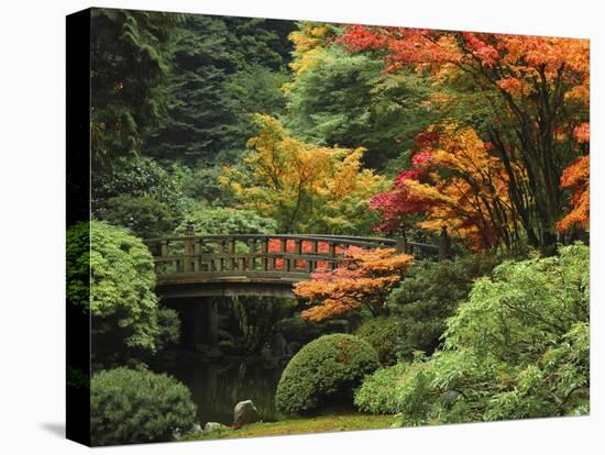 Moon Bridge in Autumn: Portland Japanese Garden, Portland, Oregon, USA-Michel Hersen-Premier Image Canvas