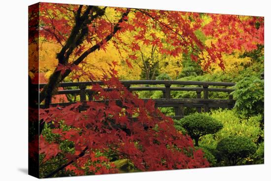 Moon Bridge in Autumn, Portland Japanese Garden, Portland, Oregon, USA-Michel Hersen-Premier Image Canvas