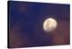 Moon in clouds-null-Stretched Canvas