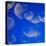Moon Jellyfish-Richard T. Nowitz-Premier Image Canvas
