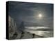 Moon Night, 1885-Ivan Konstantinovich Aivazovsky-Premier Image Canvas