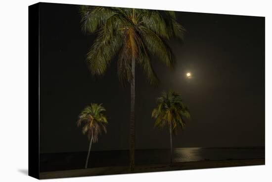 Moon over the Horizon Off the Isle of Youth, Cuba. Coconut Palms Illuminated in the Foreground-James White-Premier Image Canvas