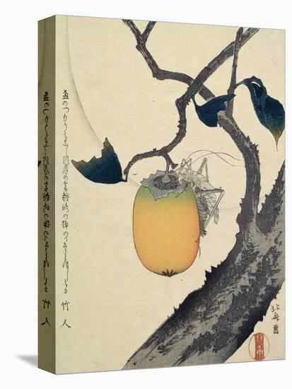 Moon, Persimmon and Grasshopper, 1807-Katsushika Hokusai-Premier Image Canvas
