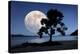 Moon Rising Over the Sea-Detlev Van Ravenswaay-Premier Image Canvas