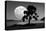 Moon Rising Over the Sea-Detlev Van Ravenswaay-Premier Image Canvas