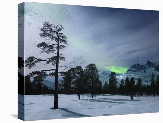 Moonlight And Aurora Borealis, Forramarka, Troms, Norway-Stocktrek Images-Premier Image Canvas