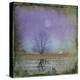 Moonlight in Vermont-Dawne Polis-Stretched Canvas