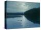 Moonlight Loons-Michael Budden-Premier Image Canvas