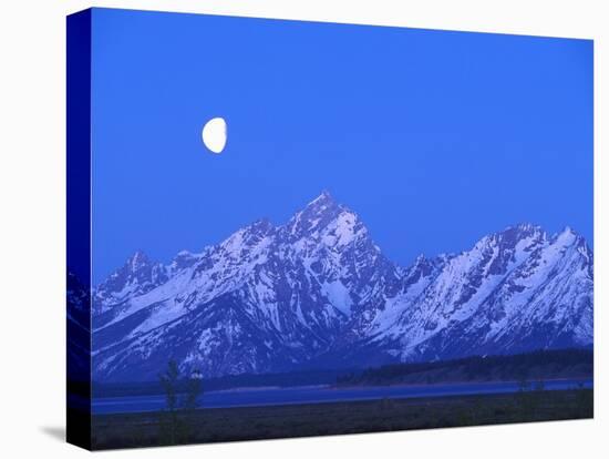 Moonlight on Grand Teton Range, Wyoming, USA-Stefano Amantini-Premier Image Canvas