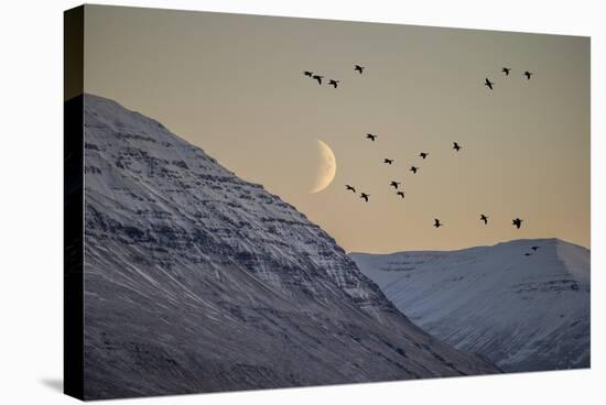 Moonlight over Snow Covered Mountain-Arctic-Images-Premier Image Canvas