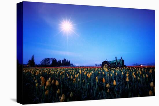 Moonlight Tractor in Spring Tulip Farm, Central Oregon-Vincent James-Premier Image Canvas