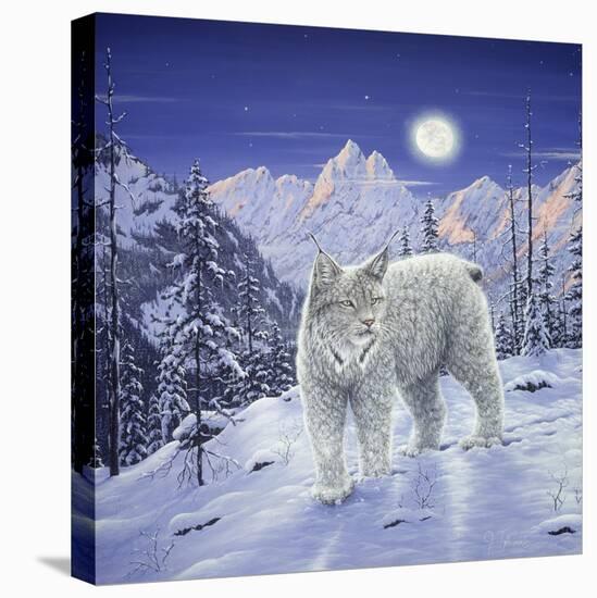 Moonlight Wilderness-Jeff Tift-Premier Image Canvas