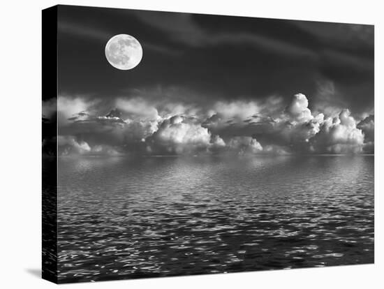 Moonlit Beauty-marilyna-Premier Image Canvas