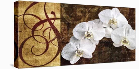 Moonlit Orchids-Keith Mallett-Stretched Canvas