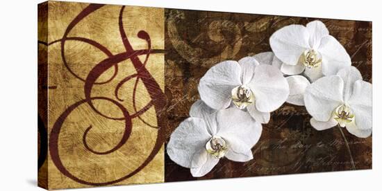 Moonlit Orchids-Keith Mallett-Stretched Canvas