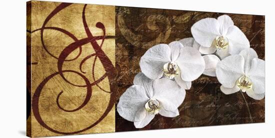 Moonlit Orchids-Keith Mallett-Stretched Canvas