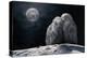 Moonowls-Marcel Egger-Premier Image Canvas