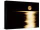 Moonrise, Haro Strait Vancouver-David Nunuk-Premier Image Canvas